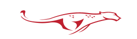 SB - Processing Network Logo